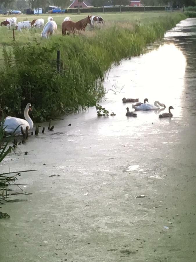 Vakantiewoning Grensgebied Groningen/Drenthe/Friesland Zevenhuizen  外观 照片